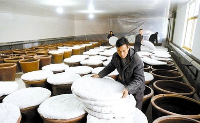 釀造食醋奔富路，食品銷(xiāo)售創(chuàng)輝煌——傳統(tǒng)技藝與現(xiàn)代市場(chǎng)的完美融合