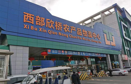 春節(jié)前走進西部欣橋農產品物流中心,為你探菜價肉價